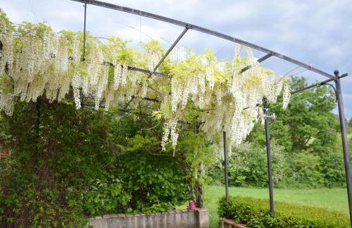 Le gîte de Valérie côté jardin - Foto 16