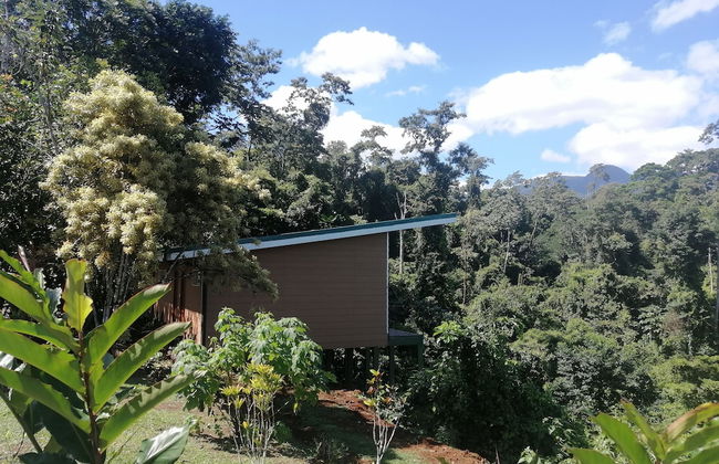 Villas Josipek - Foto 10