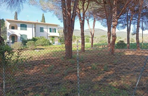 Riccio di Mare - Foto 2