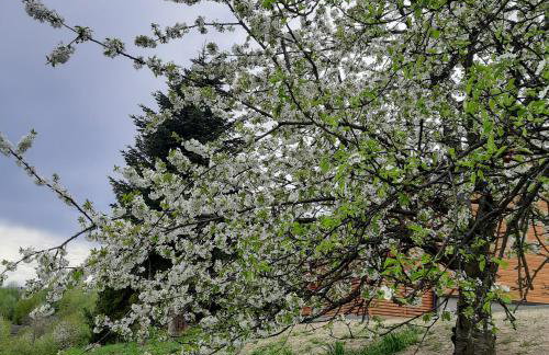 Domek pod Skiełkiem - Photo 2