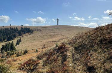 Ferienwohnung Penthouse Feldberg - Photo 34