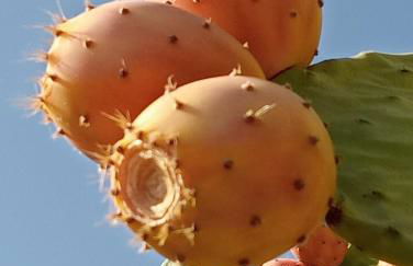 Casa do Rossio - Foto 32