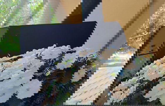 Oceans Edge Eagle Retreat - Foto 1