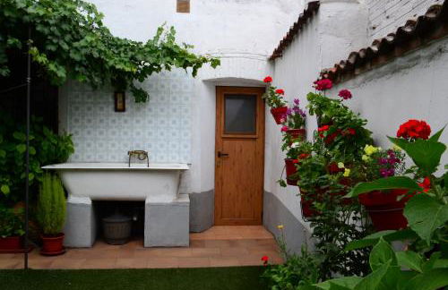 La Cantina de Daniel - Foto 51