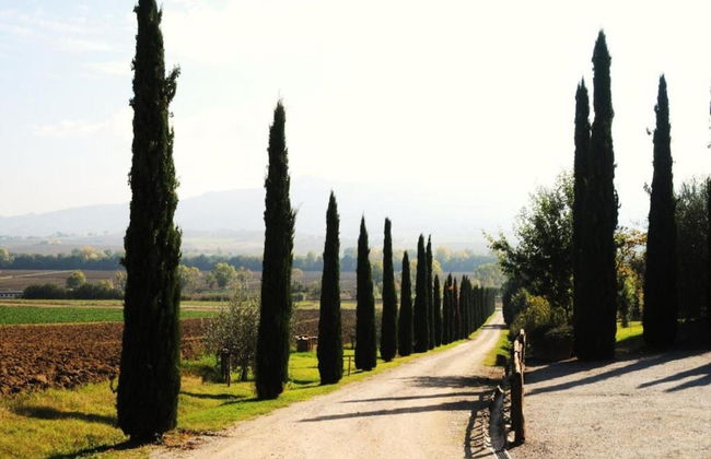 Holiday Home Near Lago di Chiusi With Pool - Photo 38