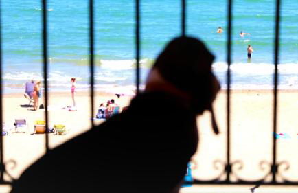 Sea You Apartamentos Valencia Port Saplaya - Foto 40