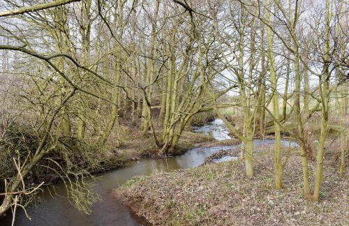 Rupert's Stable - Photo 9