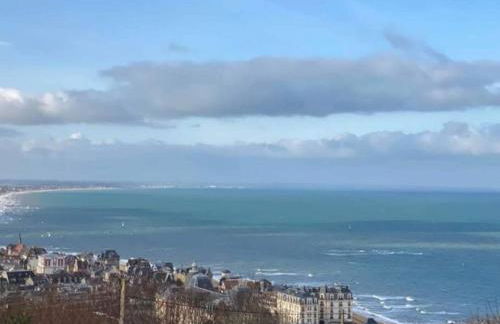 Le colibri - Photo 27