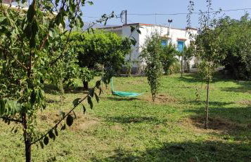 Garden house - Photo 76