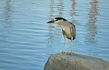 The View! Palm Desert Country Club Villa - Foto 37