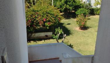 Praia e Ilha - Foto 3