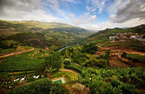 Quinta Barqueiros D'Ouro - Casa da Música - Photo 21