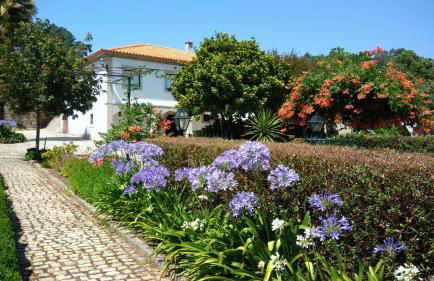 THE RIVER HOUSE - Termas Guesthouse - Foto 22