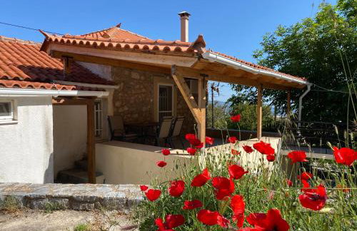 Barbajonn's Stone House - Foto 28