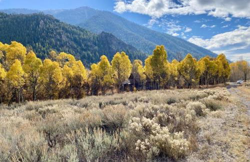 Triumph Ranch Farm House - Foto 23