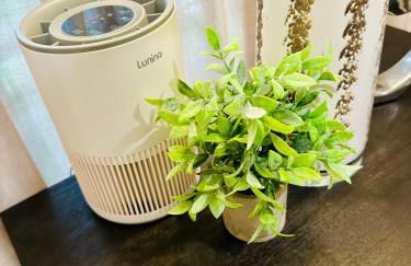 Home away from Home Near Ybor City, Cruise Port, and Downtown Tampa - Foto 12