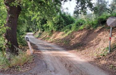 La Tana del Conero - Foto 13