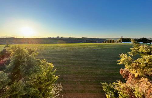 Modern House Ancient Pydna - Foto 17