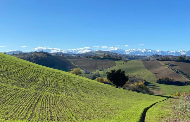 Holiday House in Filottrano on the Beach by the sea - Photo 37