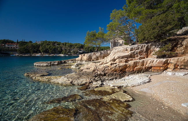 Olive Eden - Foto 23