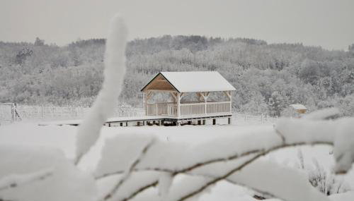 Winnica Sztukówka - Foto 2