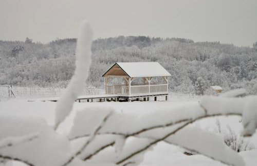 Winnica Sztukówka - Foto 2