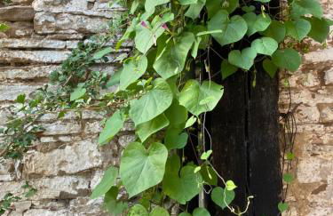 Ferienwohnung Burg Hausen - Foto 49