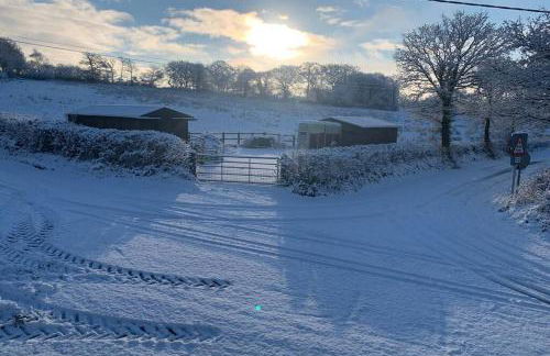 Cwtch Bach - Garnant - Foto 31