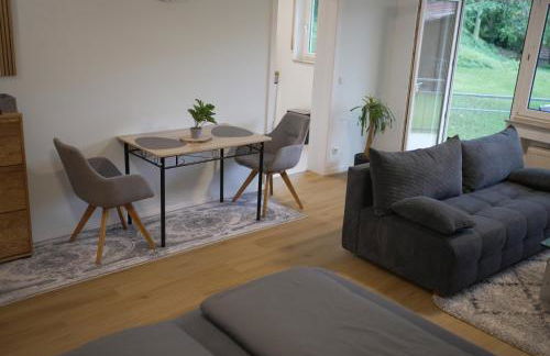 Apartment Ferienwohnung mit Grünem Blick Terrasse & Neu saniert Bordinghaus 24h Check-In in Freudenberg am Main - Foto 63