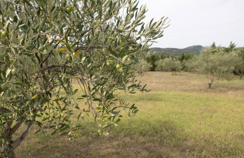 Gîte Arizona - Le Mas De Peyraube - Photo 18