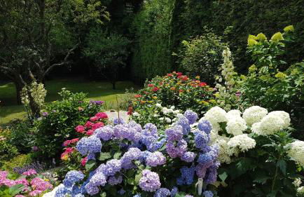 Ferienwohnung Brillant am Nationalpark Hunsrück-Hochwald - Foto 30