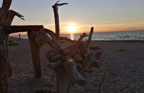 Ferienhaus in Elmenhorst an der Ostseekueste - Foto 43