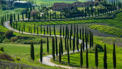 Agriturismo Baccoleno - Foto 5
