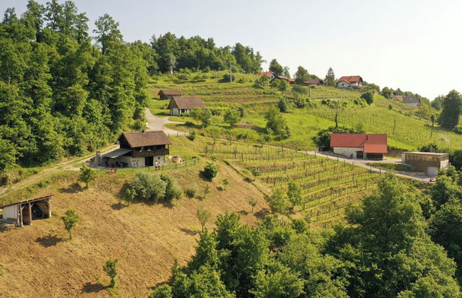 Vineyard Cottages Škatlar - Foto 27
