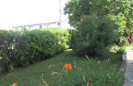 Maison individuelle Côte Basque ( Ciboure ) - Foto 19