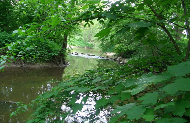 Sunny Garden Retreat, Neubukow - Photo 30