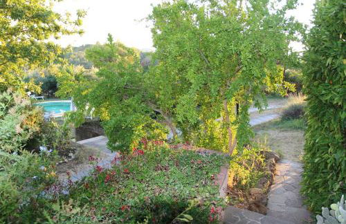 Poggio al Tesoro Crespina Pisa - Foto 51