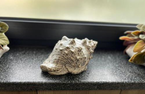 Cantinho da Maresia - Foto 78