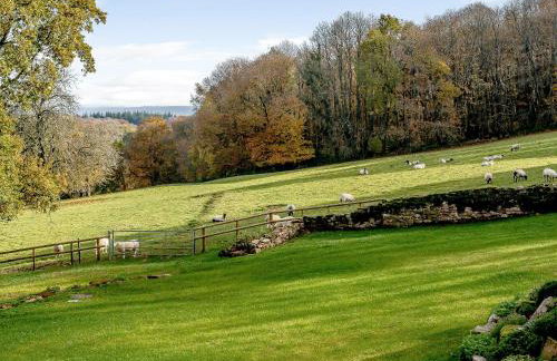 Pipistrelle - Uk30758 - Photo 23