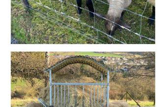 Paradies in der Vulkaneifel mit Panorama-Blick - Foto 31