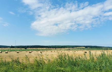 Siedlisko Na Szlaku Odry - Foto 37