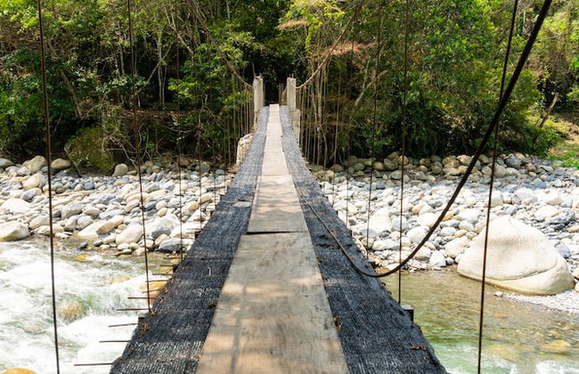 Casa de campo Los Yungas - Photo 44