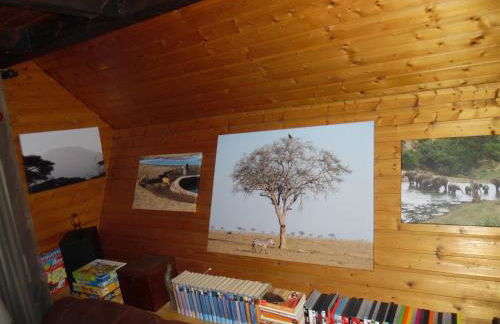 Haus Tsavo - Foto 14