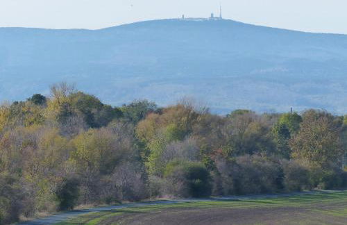 Ferienwohnung mit Brockenblick - Foto 30