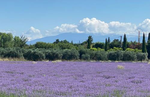 Sejour paisible au Thor - Photo 30