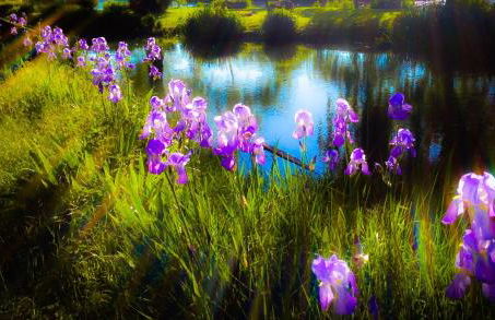 Appartamenti di Andrea - Foto 29