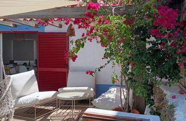 Tribo da Praia - Foto 20