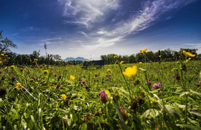 Sunny Terrace Apartment - Foto 21