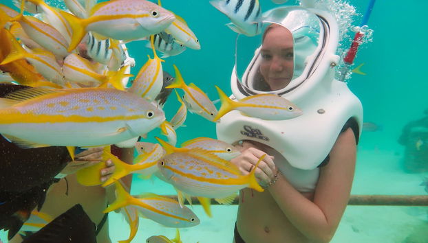 Servicios del alojamiento