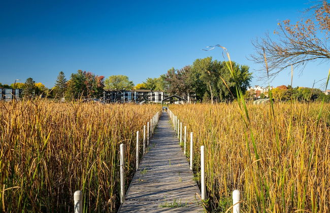 Carlow Manor - Foto 10